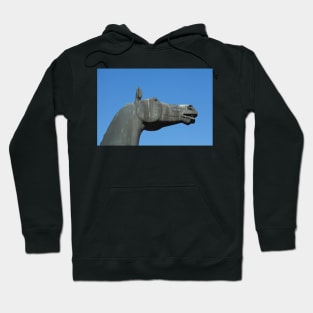 Neighing stallion sculpture, Nienburg an der Weser, Lower Saxony, Germany, Europe Hoodie